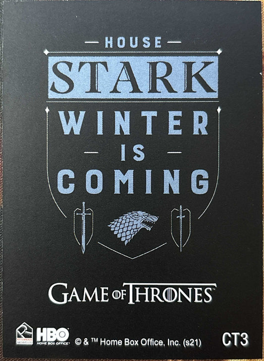 Haus Stark Graphic Sigil Case Topper CT3 - Game of Thrones Iron Anniversary 1