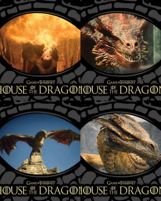The Dragons Insert Karten - House of the Dragon Season One (Auswahl)